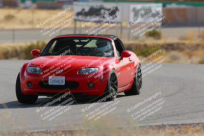 media/Feb-22-2025-Team Topak Racing (Sat) [[cb57a51a40]]/Intermediate Low1/Turns 2 and 4/